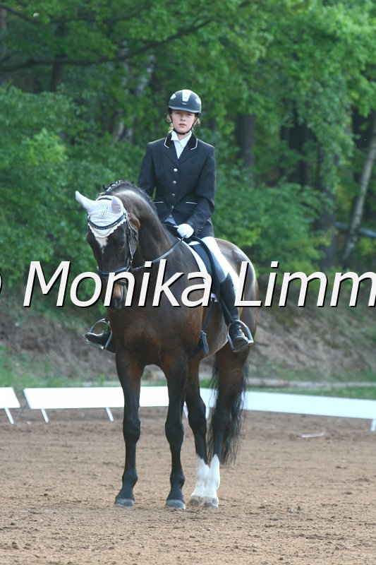 104M4735_Dejavue_Dressur E.JPG